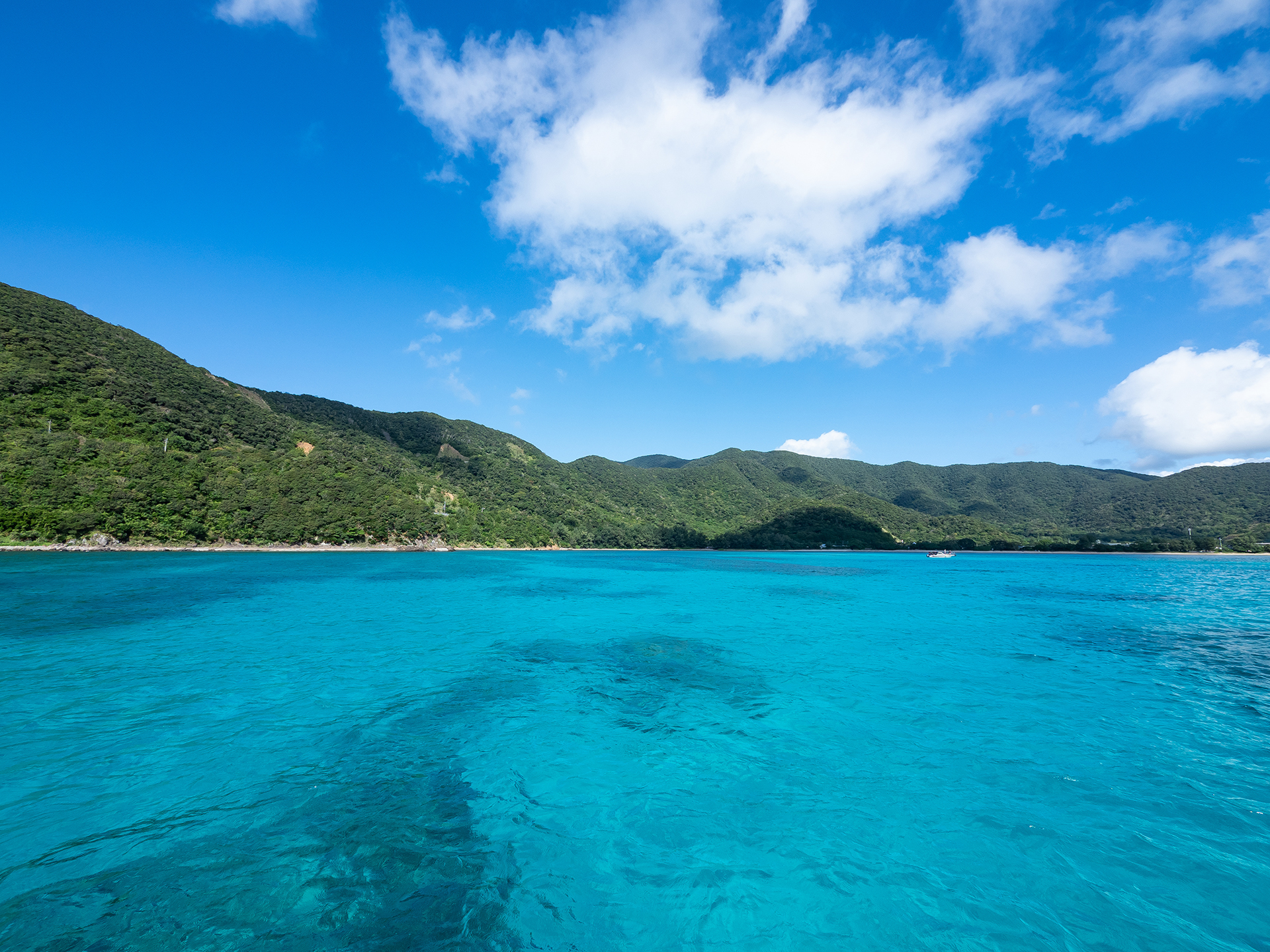 奄美大島
